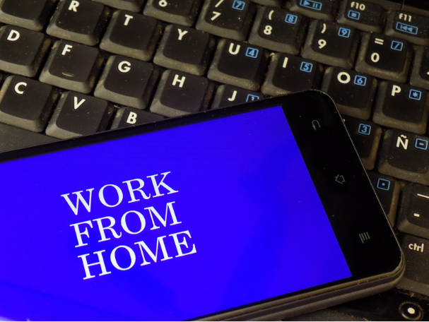 Ganhe 6 dólares por hora workforhome